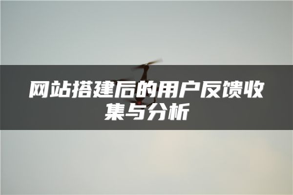网站搭建后的用户反馈收集与分析