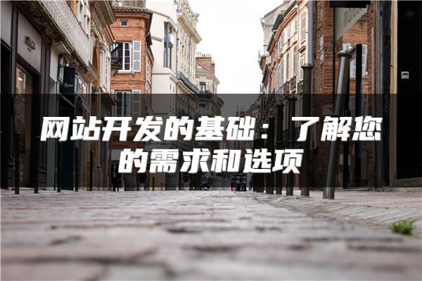 网站开发的基础：了解您的需求和选项