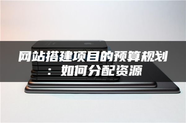 网站搭建项目的预算规划：如何分配资源