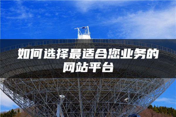 如何选择最适合您业务的网站平台