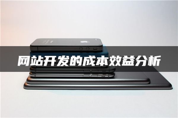 网站开发的成本效益分析
